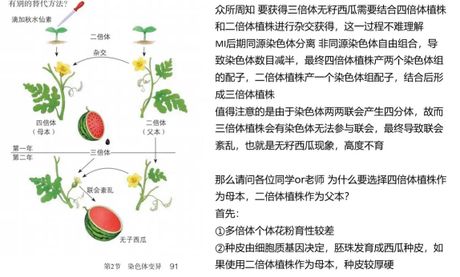 独家揭秘：无籽西瓜的培育原理